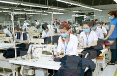 Empresas textiles de Vietnam reciben grandes demandas en primer trimestre