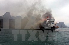 Sin daño humano en incendio de crucero en bahía de Ha Long 