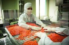 Empresas farmacéuticas checas ponen atención en mercado vietnamita