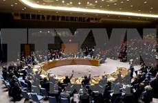 Vietnam llama a ONU elaborar estrategia para prevenir conflictos a largo plazo  