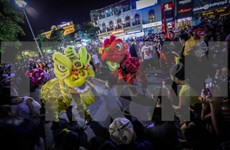 Celebran en ciudad vietnamita festival por Año Nuevo Lunar