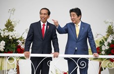 Japón e Indonesia refuerzan cooperación en seguridad marítima