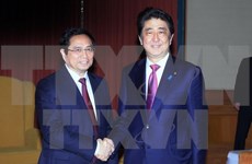 Instan a fortalecer relaciones Vietnam – Japón