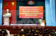 Actividades de información al exterior de Vietnam alcanzan avances notables  