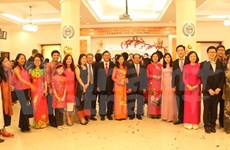 Comunidades vietnamitas en extranjero festejan el Tet de 2017