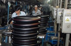 Casumina-principal fabricante de neumáticos y tubos en Vietnam