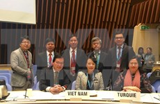 Vietnam participa en selección de candidatos a cargo directivo de OMS  