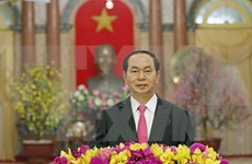 Presidente vietnamita felicita al pueblo en ocasión del Año Nuevo Lunar 