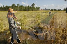 Asistencia internacional a favor del desarrollo agrícola de Camboya