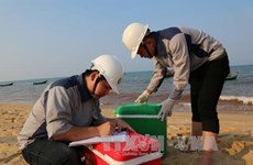 Urgen a control del ambiente marino en provincias centrovietnamitas