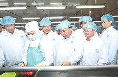 Premier vietnamita visita empresa líder de exportación de camarones en mundo