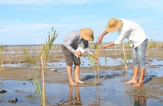 Despliegan en Vietnam proyecto de preservación de humedales