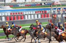 Gobierno vietnamita avala apuestas en carreras de perros y caballos  