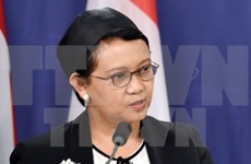 Indonesia y Singapur hacia 50 años del establecimiento de vínculos diplomáticos