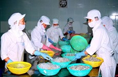 Vietnam pide a Australia eliminar pronto suspensión a importación de camarones
