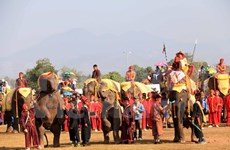 Festival en provincia laosiana promueve la protección de elefantes