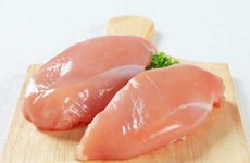 Vietnam exportará pechugas de pollo a Japón