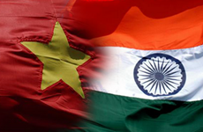 Cooperación en defensa, pilar clave en Asociación Estratégica Vietnam- India