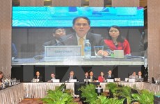 Aprecian aportes de Vietnam al desarrollo del APEC
