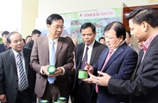 Vicepremier urge a desarrollar productos ventajosos de Quang Ninh