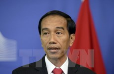 Políticos indonesios procesados por corrupción 