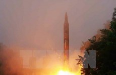 Vietnam preocupado por lanzamiento de misiles efectuado por Corea del Norte  