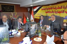 Empresas egipcias buscan oportunidades de cooperación con Vietnam