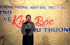 Música tradicional conecta vietnamitas en Praga