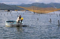 Debaten en Vietnam medidas para viabilizar meta de exportaciones de camarón