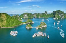 Vietnam espera atraer más visitantes estadounidenses con Feria Internacional de Turismo