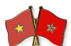 Vietnam y Marruecos intercambiarán información científica