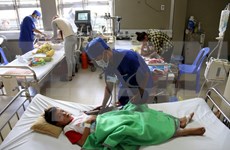Celebran Sexta Conferencia de Pediatría Vietnam – Estados Unidos