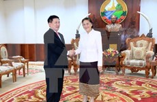 Líderes laosianos aprecian apoyo de auditoría de Vietnam