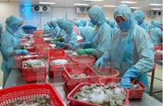 Sector agropecuario de Vietnam implementa medidas para impulsar crecimiento