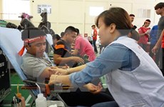 Campaña Recorrido Rojo 2017 prevé colectar 35 mil unidades de sangre en Vietnam
