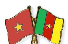 Vietnam y Camerún fortalecen nexos comerciales e inversionistas 