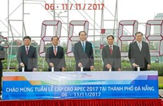 Presidente vietnamita inspecciona preparativos de Cumbre de APEC 