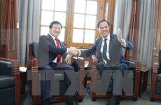 Países Bajos reafirma interés en fomentar cooperación multifacética con Vietnam