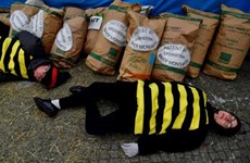 Un tribunal en La Haya responsabiliza a Monsanto de ecocidio  