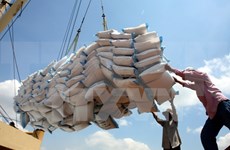 Disminuyen exportaciones vietnamitas de arroz en primer trimestre de 2017