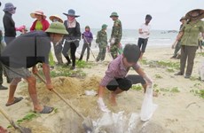 Exigen transparencia de compensación a personas afectadas por incidente ambiental en Vietnam 