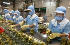 Registran aumento de exportaciones agroforestales de Vietnam