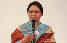 Indonesia pide a ASEAN luchar contra campaña sobre aceite de palma 