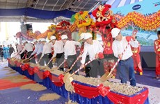 Construyen en provincia vietnamita fábrica de procesamiento de frutas para exportación