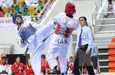 Taekwondistas vietnamitas ganan tres medallas de oro en campeonato mundial