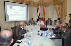 Buscan oportunidades de cooperación entre Vietnam y Egipto