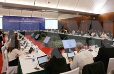 APEC 2017: delegados sugieren aprovechar oportunidades generadas por era digital