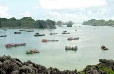 Ciudad vietnamita inicia primera fase de complejo eco-turístico