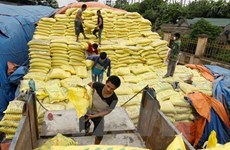 Vietnam estudiará la aplicación de medidas de protección sobre fertilizantes importados