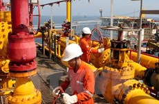 Fomentan cooperación en ASEAN para enfrentar descenso de precios del petróleo